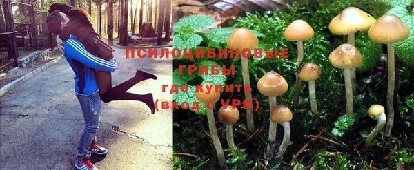 мескалин Белоозёрский