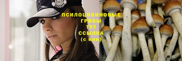 ГАЛЛЮЦИНОГЕННЫЕ ГРИБЫ Сосновоборск
